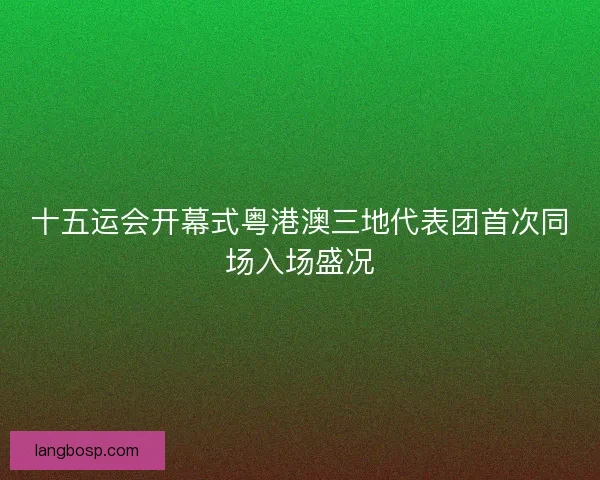 十五运会开幕式粤港澳三地代表团首次同场入场盛况